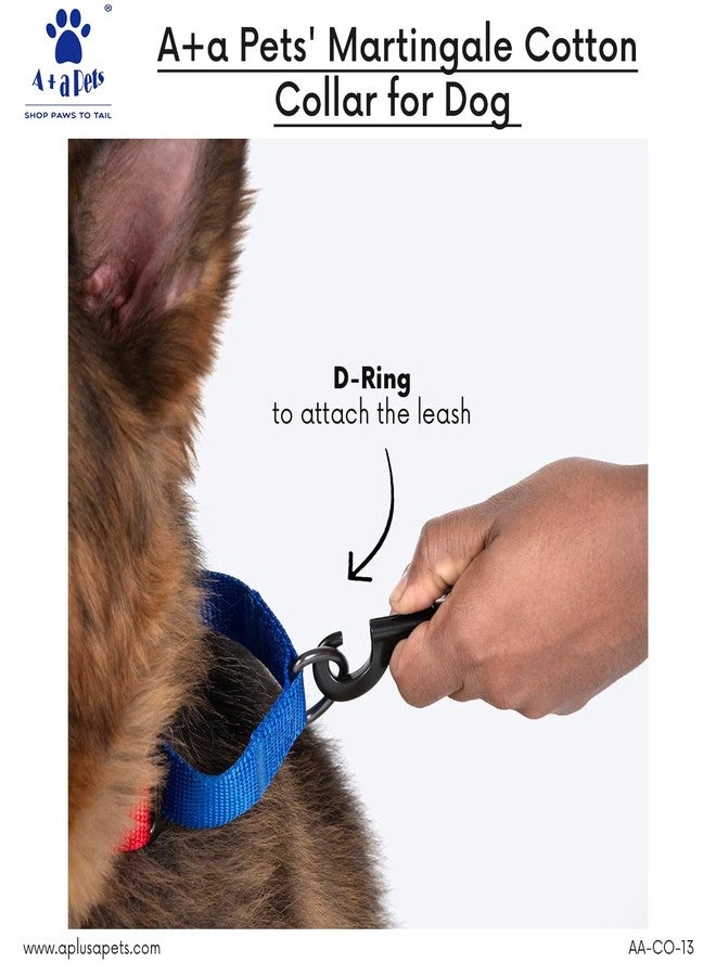 A+a Pets Martingale Dog Collar | No Pull Design, No Neck Strain, No Choke Design | for Large & Medium Dogs | Rust Free, Cotton Training Collar (Mango & Green), 20 x 2.5 cm - Image 2